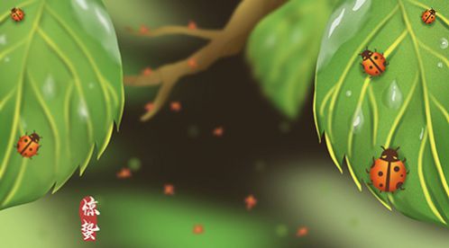 二十四節氣 | 驚蟄到，春意濃【杭州易造】