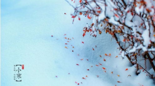 小寒|總有一束光亮，照亮寒夜的路-【易造防雷】