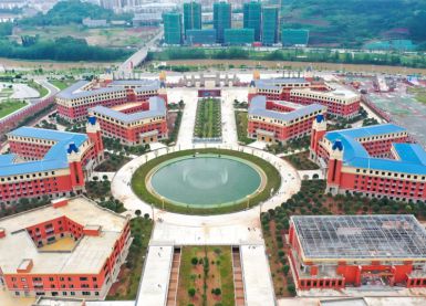 成都文軒職業(yè)學校雷電預警系統(tǒng)建設【易造防雷】