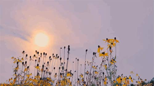 三八婦女節丨祝所有女神:愿你笑靨如花,一生不減芳華-杭州易造 三八婦女節丨祝所有女神:愿你笑靨如花,一生不減芳華-杭州易造