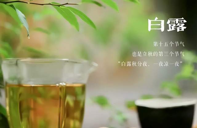 二十四節氣-白露 | 白露至,秋實美